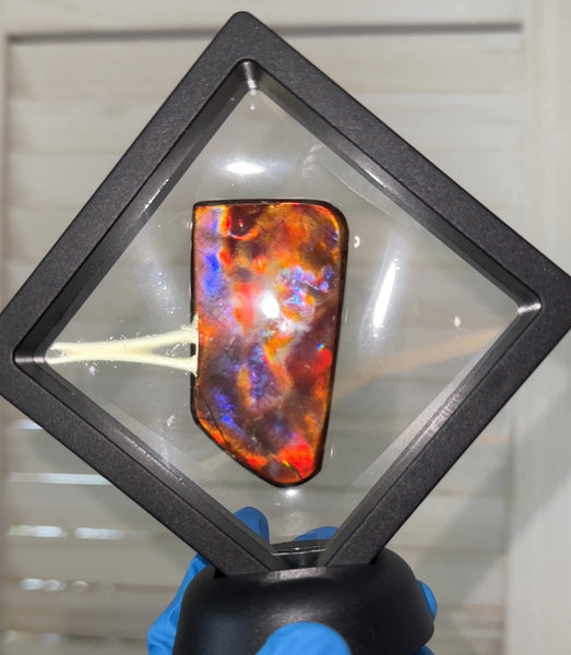 Natural hand polished, Free Form . FFNT175 Ammolite High Grade.