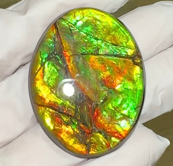 Loose Stone, Ammolite,Freeform,Oval, Cabochon 43x34mm, Loose gemstone Canadian Ammonite,wrapping jewellery, FC-124