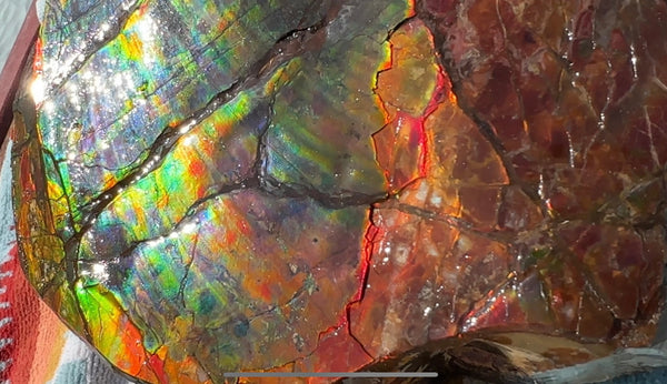 Buy it now or make an offer! Canadian Ammolite  Ammonite Partial Fossil  Big Specimen Home Décor,- CS-238***アンモライト 大型両面 斑彩石 コレクターストーン　価格交渉 FREE SHIPPING