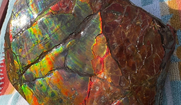 Buy it now or make an offer! Canadian Ammolite  Ammonite Partial Fossil  Big Specimen Home Décor,- CS-238***アンモライト 大型両面 斑彩石 コレクターストーン　価格交渉 FREE SHIPPING