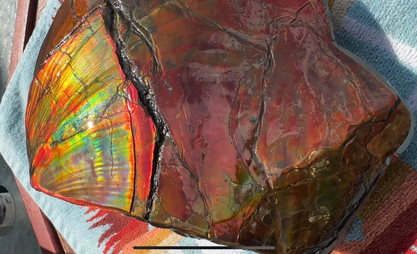 Buy it now or make an offer! Canadian Ammolite  Ammonite Partial Fossil  Big Specimen Home Décor,- CS-238***アンモライト 大型両面 斑彩石 コレクターストーン　価格交渉 FREE SHIPPING