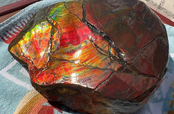 Buy it now or make an offer! Canadian Ammolite  Ammonite Partial Fossil  Big Specimen Home Décor,- CS-238***アンモライト 大型両面 斑彩石 コレクターストーン　価格交渉 FREE SHIPPING