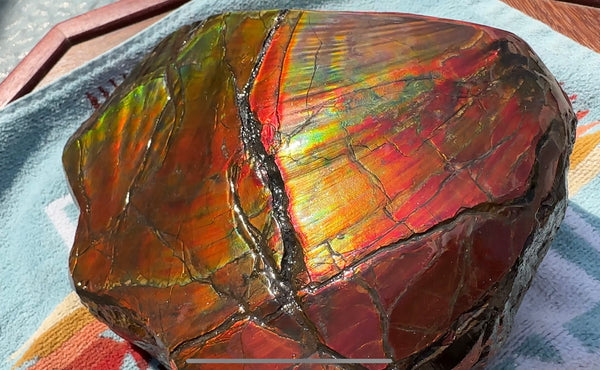 Buy it now or make an offer! Canadian Ammolite  Ammonite Partial Fossil  Big Specimen Home Décor,- CS-238***アンモライト 大型両面 斑彩石 コレクターストーン　価格交渉 FREE SHIPPING