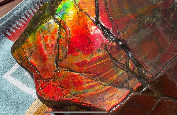Buy it now or make an offer! Canadian Ammolite  Ammonite Partial Fossil  Big Specimen Home Décor,- CS-238***アンモライト 大型両面 斑彩石 コレクターストーン　価格交渉 FREE SHIPPING