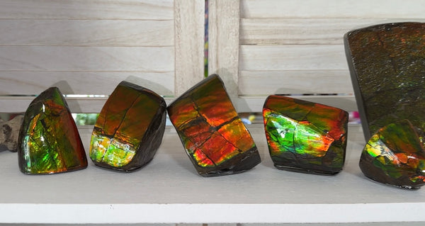 5 pieces set! Double-sided Keel Edge Ammolite Display gem BRIGHT! Handheld Specimen ,Fossil,Fengshui,Metaphysical,Home Decor CS-243