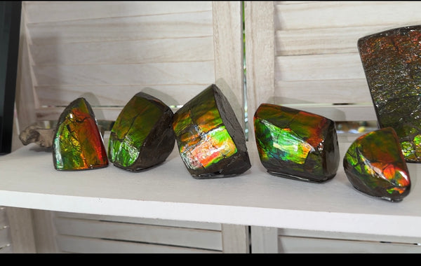 5 pieces set! Double-sided Keel Edge Ammolite Display gem BRIGHT! Handheld Specimen ,Fossil,Fengshui,Metaphysical,Home Decor CS-243