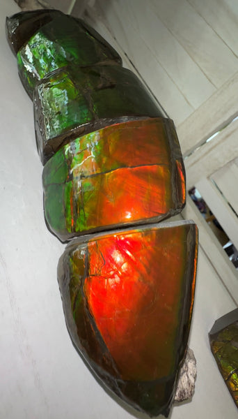 5 pieces set! Double-sided Keel Edge Ammolite Display gem BRIGHT! Handheld Specimen ,Fossil,Fengshui,Metaphysical,Home Decor CS-243