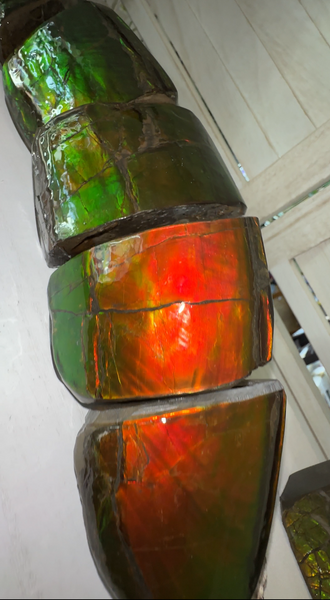 5 pieces set! Double-sided Keel Edge Ammolite Display gem BRIGHT! Handheld Specimen ,Fossil,Fengshui,Metaphysical,Home Decor CS-243