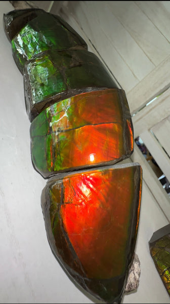 5 pieces set! Double-sided Keel Edge Ammolite Display gem BRIGHT! Handheld Specimen ,Fossil,Fengshui,Metaphysical,Home Decor CS-243