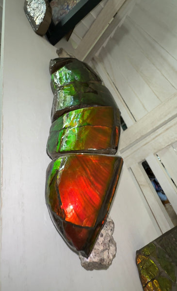 5 pieces set! Double-sided Keel Edge Ammolite Display gem BRIGHT! Handheld Specimen ,Fossil,Fengshui,Metaphysical,Home Decor CS-243