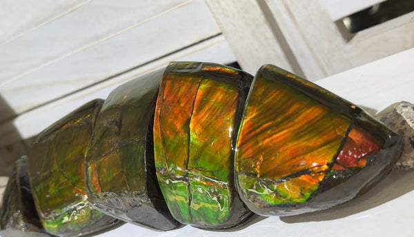 5 pieces set! Double-sided Keel Edge Ammolite Display gem BRIGHT! Handheld Specimen ,Fossil,Fengshui,Metaphysical,Home Decor CS-243