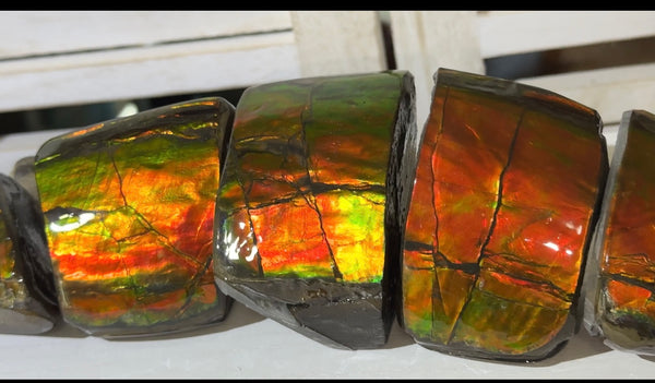 5 pieces set! Double-sided Keel Edge Ammolite Display gem BRIGHT! Handheld Specimen ,Fossil,Fengshui,Metaphysical,Home Decor CS-243