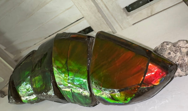 5 pieces set! Double-sided Keel Edge Ammolite Display gem BRIGHT! Handheld Specimen ,Fossil,Fengshui,Metaphysical,Home Decor CS-243