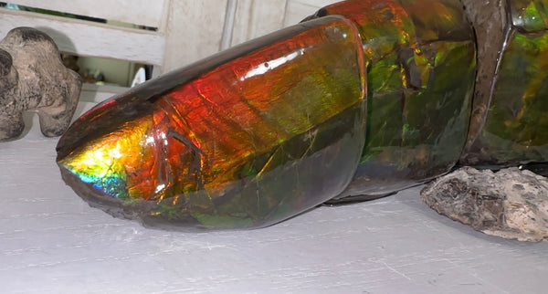 5 pieces set! Double-sided Keel Edge Ammolite Display gem BRIGHT! Handheld Specimen ,Fossil,Fengshui,Metaphysical,Home Decor CS-243