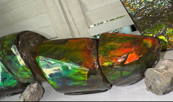 5 pieces set! Double-sided Keel Edge Ammolite Display gem BRIGHT! Handheld Specimen ,Fossil,Fengshui,Metaphysical,Home Decor CS-243