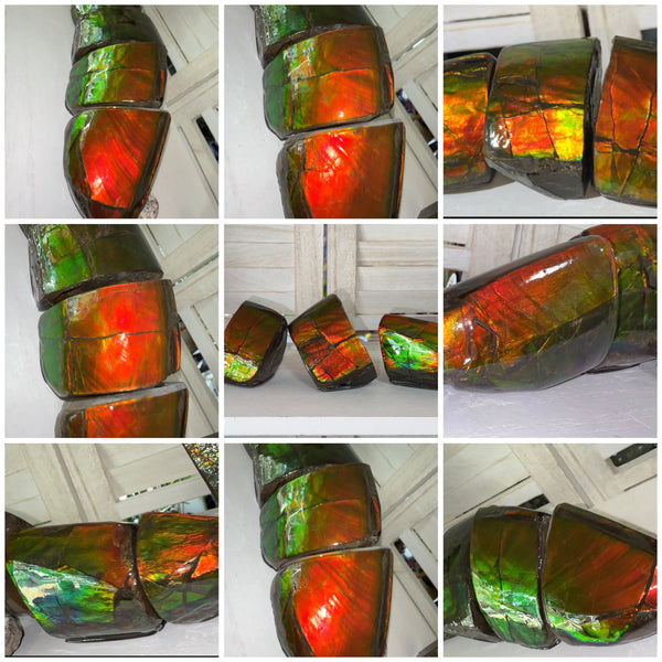 5 pieces set! Double-sided Keel Edge Ammolite Display gem BRIGHT! Handheld Specimen ,Fossil,Fengshui,Metaphysical,Home Decor CS-243