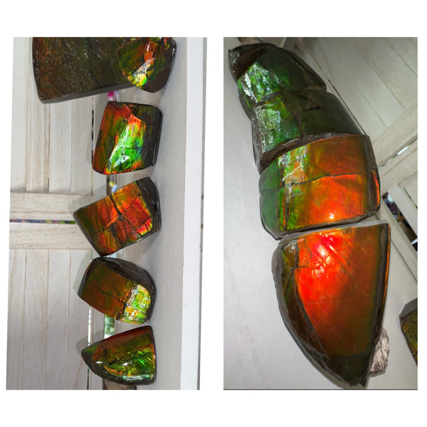 5 pieces set! Double-sided Keel Edge Ammolite Display gem BRIGHT! Handheld Specimen ,Fossil,Fengshui,Metaphysical,Home Decor CS-243