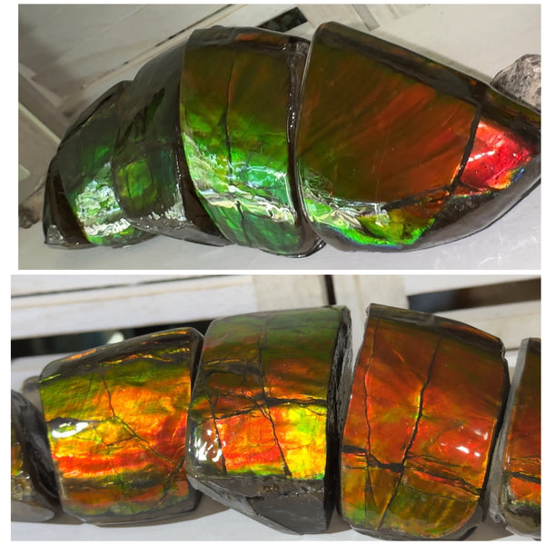 5 pieces set! Double-sided Keel Edge Ammolite Display gem BRIGHT! Handheld Specimen ,Fossil,Fengshui,Metaphysical,Home Decor CS-243