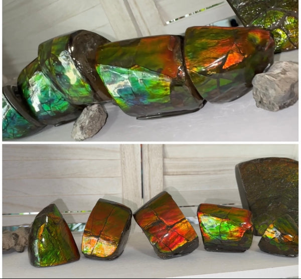 5 pieces set! Double-sided Keel Edge Ammolite Display gem BRIGHT! Handheld Specimen ,Fossil,Fengshui,Metaphysical,Home Decor CS-243