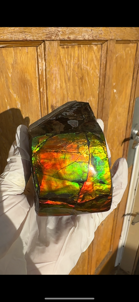 5 pieces set! Double-sided Keel Edge Ammolite Display gem BRIGHT! Handheld Specimen ,Fossil,Fengshui,Metaphysical,Home Decor CS-243