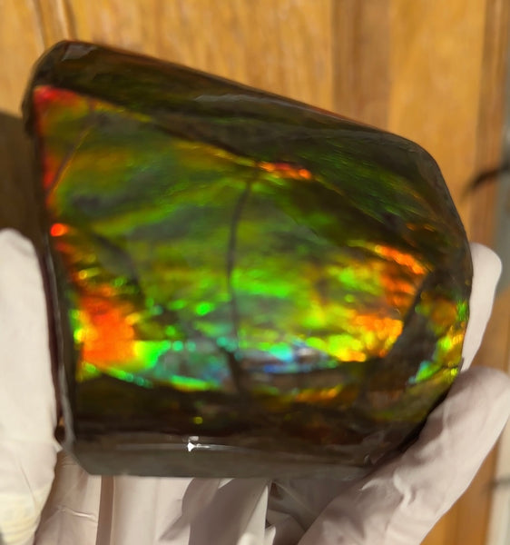 5 pieces set! Double-sided Keel Edge Ammolite Display gem BRIGHT! Handheld Specimen ,Fossil,Fengshui,Metaphysical,Home Decor CS-243