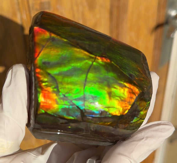 5 pieces set! Double-sided Keel Edge Ammolite Display gem BRIGHT! Handheld Specimen ,Fossil,Fengshui,Metaphysical,Home Decor CS-243