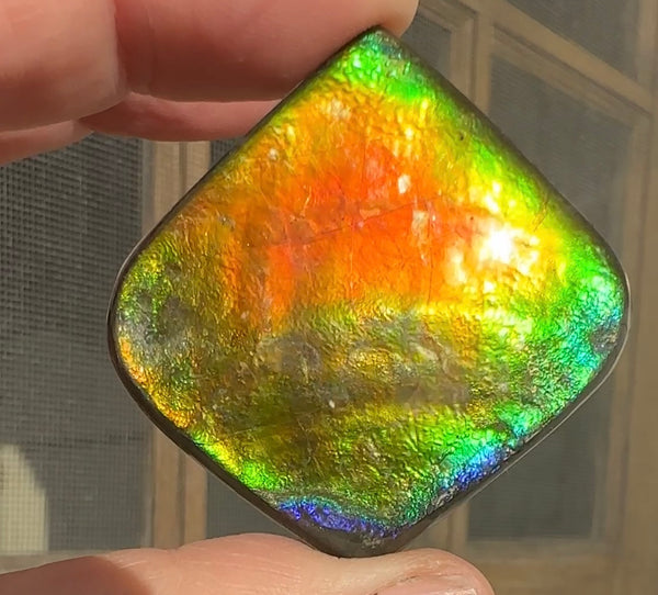 Large,Loose Stone,Ammolite,Freeform, Cabochon ,Loose gemstone Canadian Ammonite,wrapping ,46.5x45.5mm,jewellery,Bright!,.FC-130