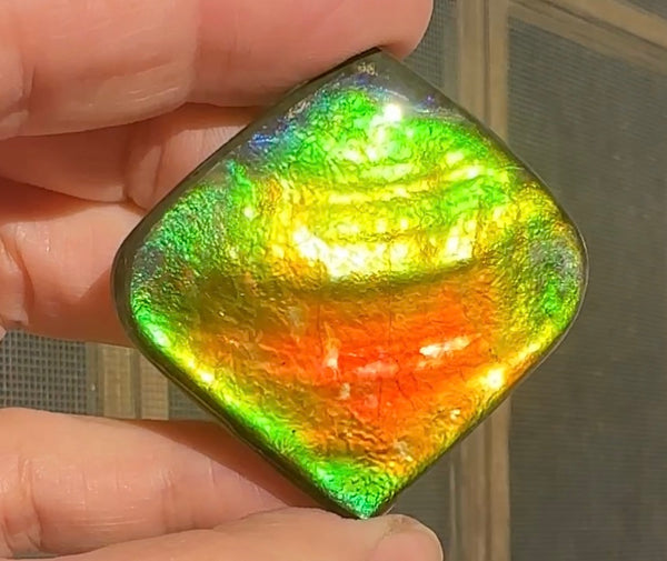 Large,Loose Stone,Ammolite,Freeform, Cabochon ,Loose gemstone Canadian Ammonite,wrapping ,46.5x45.5mm,jewellery,Bright!,.FC-130