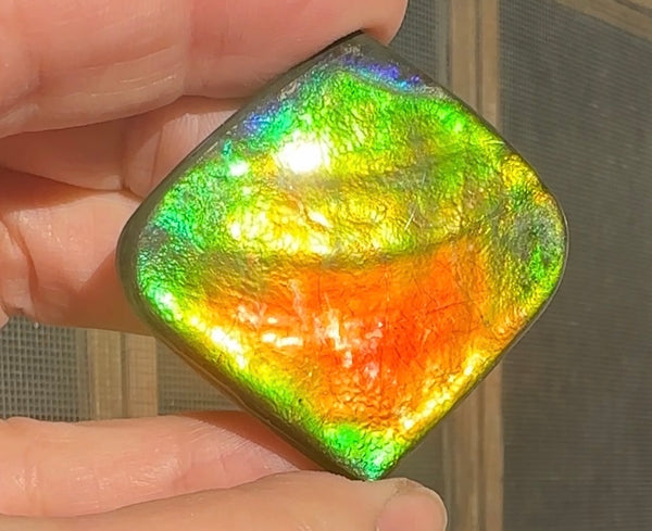 Large,Loose Stone,Ammolite,Freeform, Cabochon ,Loose gemstone Canadian Ammonite,wrapping ,46.5x45.5mm,jewellery,Bright!,.FC-130