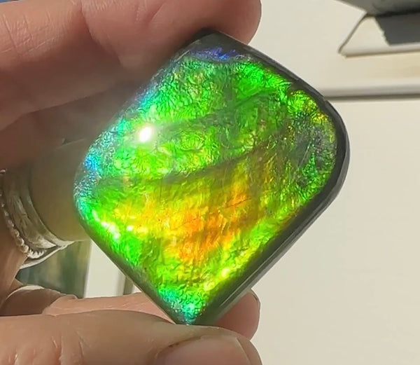 Large,Loose Stone,Ammolite,Freeform, Cabochon ,Loose gemstone Canadian Ammonite,wrapping ,46.5x45.5mm,jewellery,Bright!,.FC-130