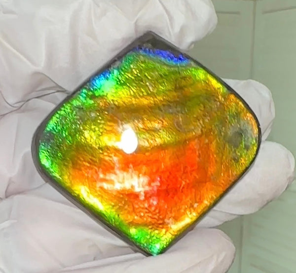 Large,Loose Stone,Ammolite,Freeform, Cabochon ,Loose gemstone Canadian Ammonite,wrapping ,46.5x45.5mm,jewellery,Bright!,.FC-130