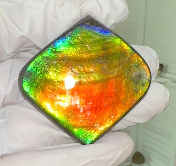 Large,Loose Stone,Ammolite,Freeform, Cabochon ,Loose gemstone Canadian Ammonite,wrapping ,46.5x45.5mm,jewellery,Bright!,.FC-130