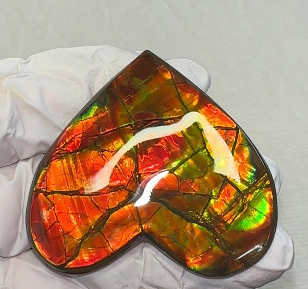 Large, Heart Shaped,Loose Stone,Ammolite,Freeform, Cabochon ,Loose gemstone Canadian Ammonite,wrapping ,49.5x45mm,jewellery FC-131