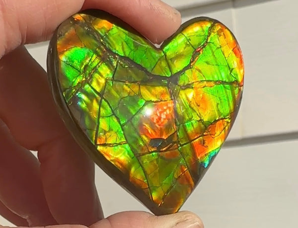 Large, Heart Shaped,Loose Stone,Ammolite,Freeform, Cabochon ,Loose gemstone Canadian Ammonite,wrapping ,49.5x45mm,jewellery FC-131