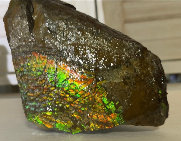 Double-SIded  Ammolite Rough Display Stone,Handheld Specimen , Rough,Fossil,Fengshui,Metaphysical,Home Decor,Free standing CS-246