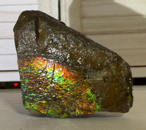 Double-SIded  Ammolite Rough Display Stone,Handheld Specimen , Rough,Fossil,Fengshui,Metaphysical,Home Decor,Free standing CS-246