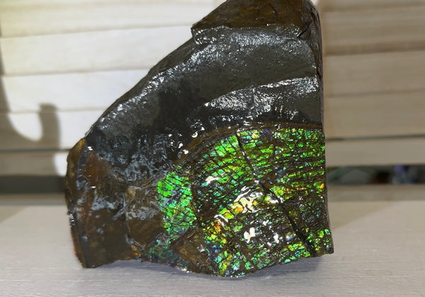 Double-SIded  Ammolite Rough Display Stone,Handheld Specimen , Rough,Fossil,Fengshui,Metaphysical,Home Decor,Free standing CS-246