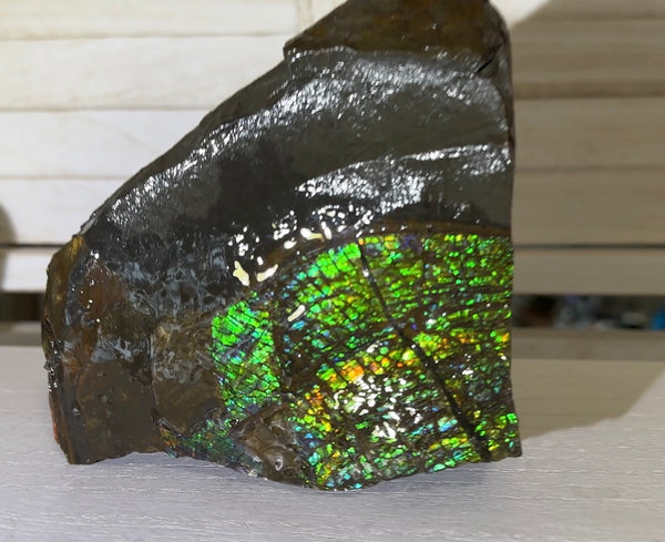 Double-SIded  Ammolite Rough Display Stone,Handheld Specimen , Rough,Fossil,Fengshui,Metaphysical,Home Decor,Free standing CS-246
