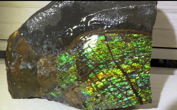 Double-SIded  Ammolite Rough Display Stone,Handheld Specimen , Rough,Fossil,Fengshui,Metaphysical,Home Decor,Free standing CS-246