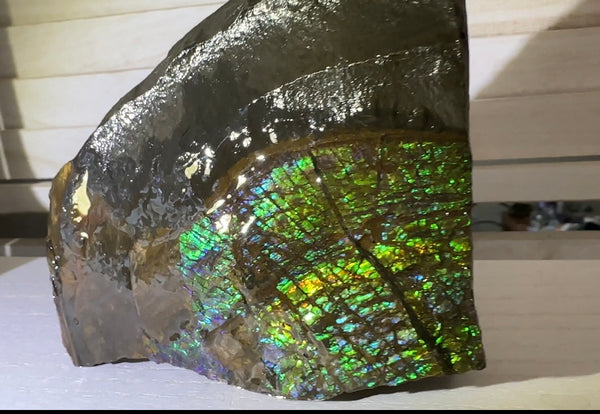 Double-SIded  Ammolite Rough Display Stone,Handheld Specimen , Rough,Fossil,Fengshui,Metaphysical,Home Decor,Free standing CS-246