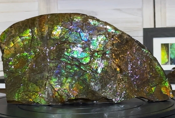 14.4" Huge Double-sided Ammolite Rough Display Stone Muticolour! Handheld Specimen 333mm, Rough,Fossil,Fengshui,Metaphysical,Home Decor **FREE SHIPPING***　AF-105