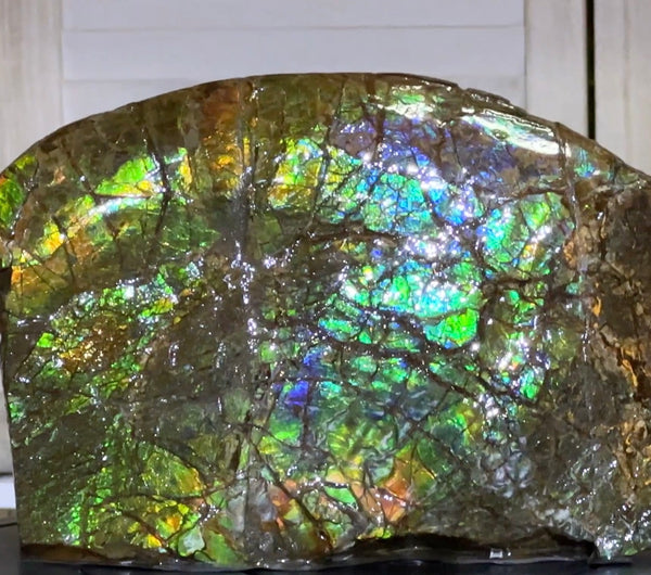 14.4" Huge Double-sided Ammolite Rough Display Stone Muticolour! Handheld Specimen 333mm, Rough,Fossil,Fengshui,Metaphysical,Home Decor **FREE SHIPPING***　AF-105