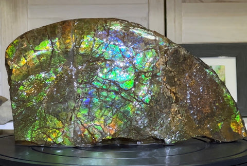 14.4" Huge Double-sided Ammolite Rough Display Stone Muticolour! Handheld Specimen 333mm, Rough,Fossil,Fengshui,Metaphysical,Home Decor **FREE SHIPPING***　AF-105