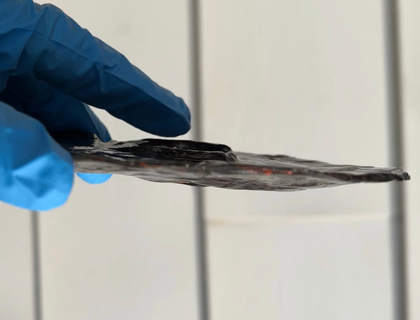 Ammolite ,Placenticeras, Double-Sided Rainbow, Specimen, Fossil,Ammonite, Collector Stone,Home decor,Free standing**FREE SHIPPING***　AF-108