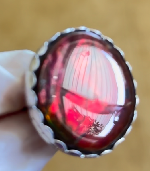 Ammolite .925 sterling silver ring with Bright Red Ammolite gem JWY-108