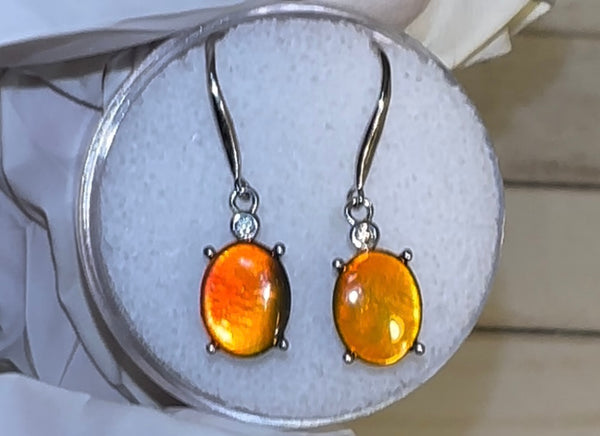 Sterling Silver 10x8mm Ammolite earrings - JWY-0081 (