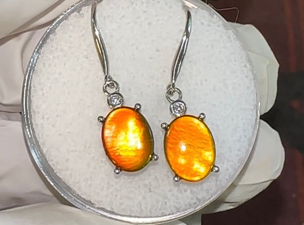 Sterling Silver 10x8mm Ammolite earrings - JWY-0081 (