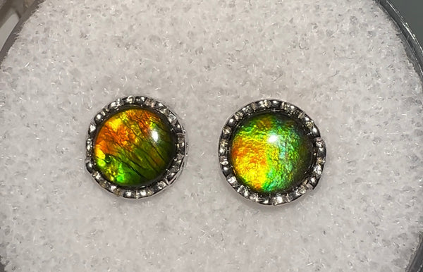 Sterling Silver Ammolite earrings - JWY-00111