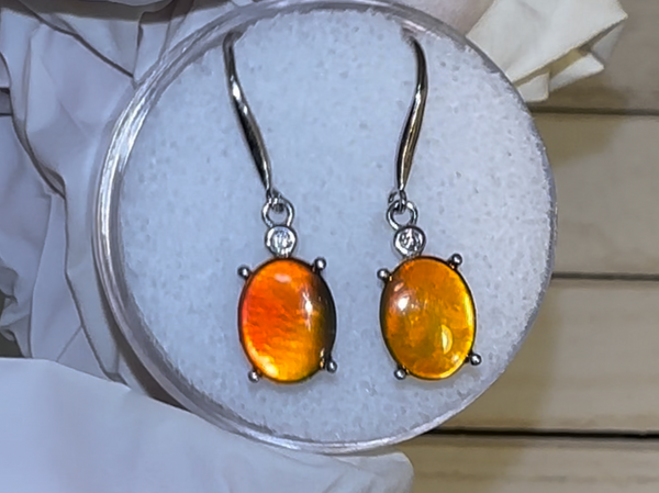 Sterling Silver 10x8mm Ammolite earrings - JWY-0081 (