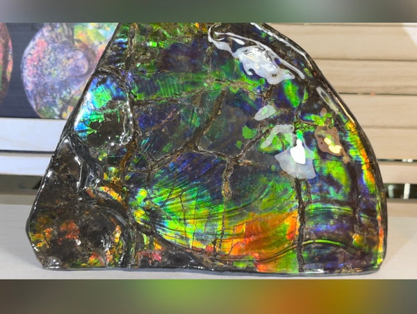 Make an offer! Ammolite ,Placenticeras costatum Section Piece,Double-Sided Rainbow, Specimen, Fossil,Ammonite, Collector Stone,Home decor,**FREE SHIPPING***　AF-132